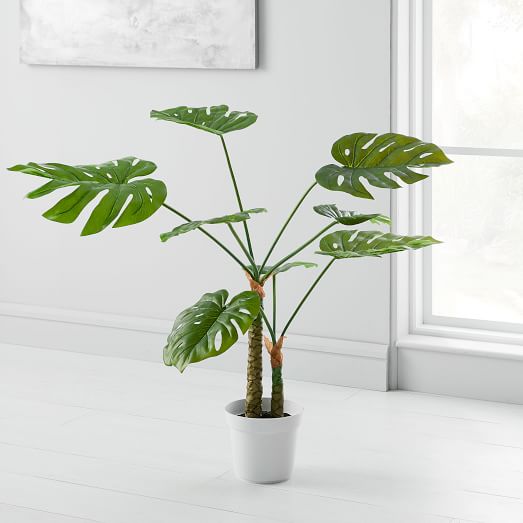 faux-potted-monstera-plant-c